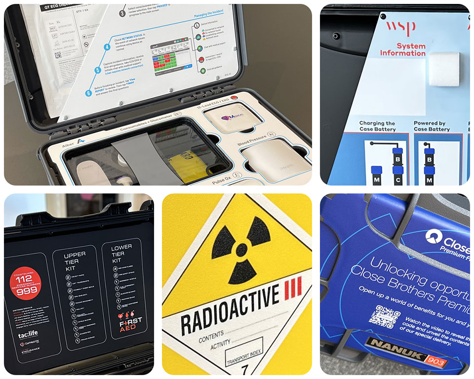 case information graphics